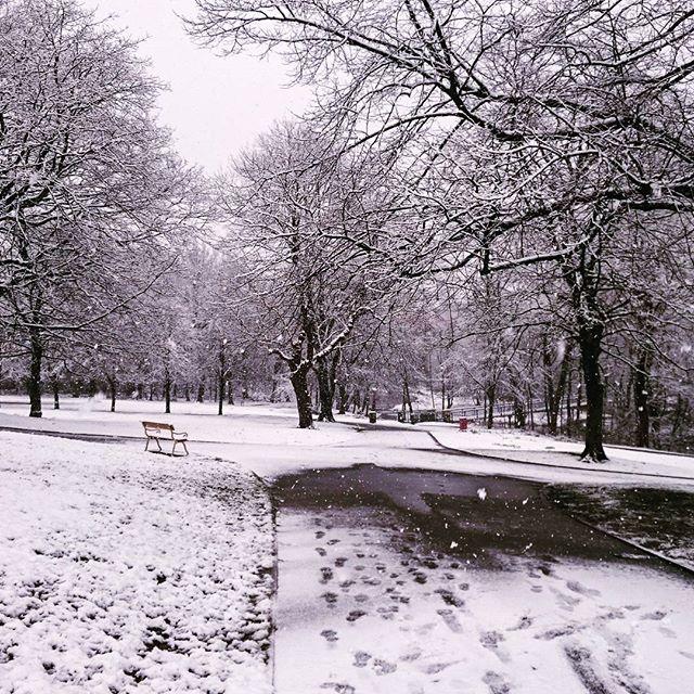 Queens Park in the snow by Shan Wilkinson