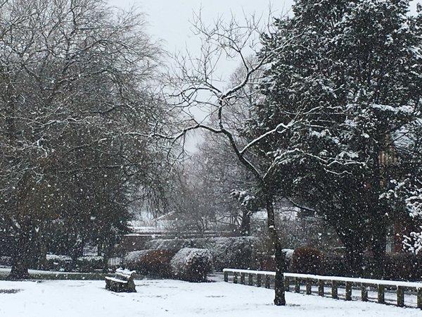 Winters Scene in longsight park harwood this morning by Mr G/Ralpstr via Twitter