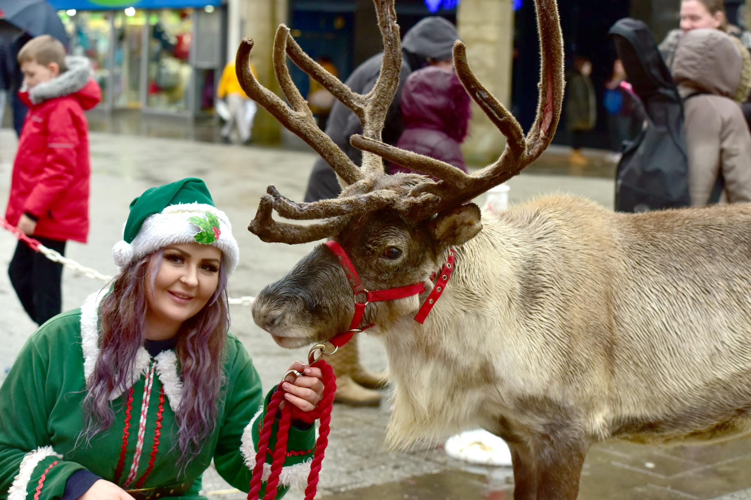 Reindeer thrill shoppers as Victoria Square becomes winter wonderland